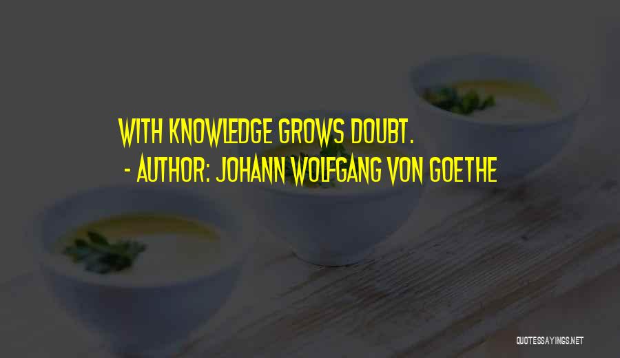Johann Wolfgang Von Goethe Quotes 1909767