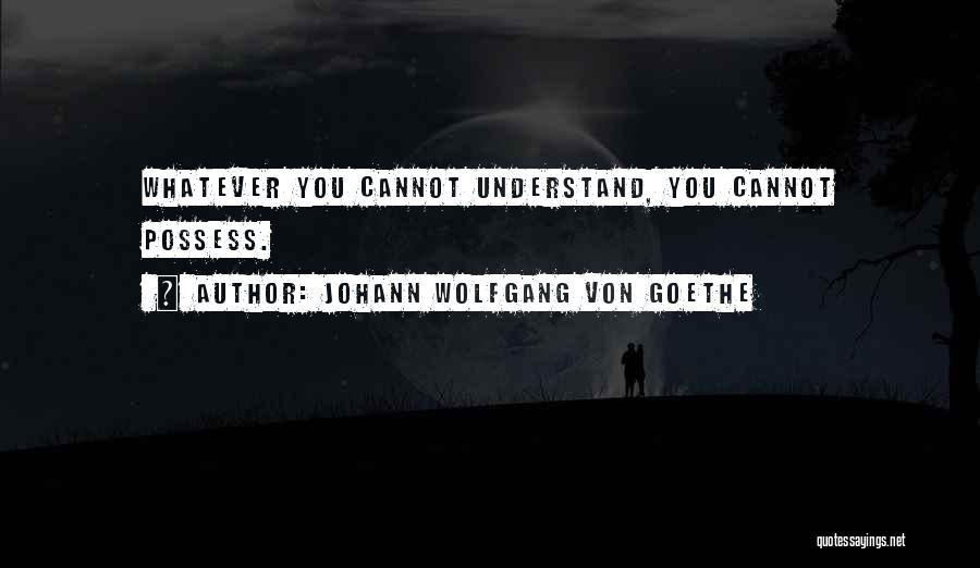 Johann Wolfgang Von Goethe Quotes 2094184