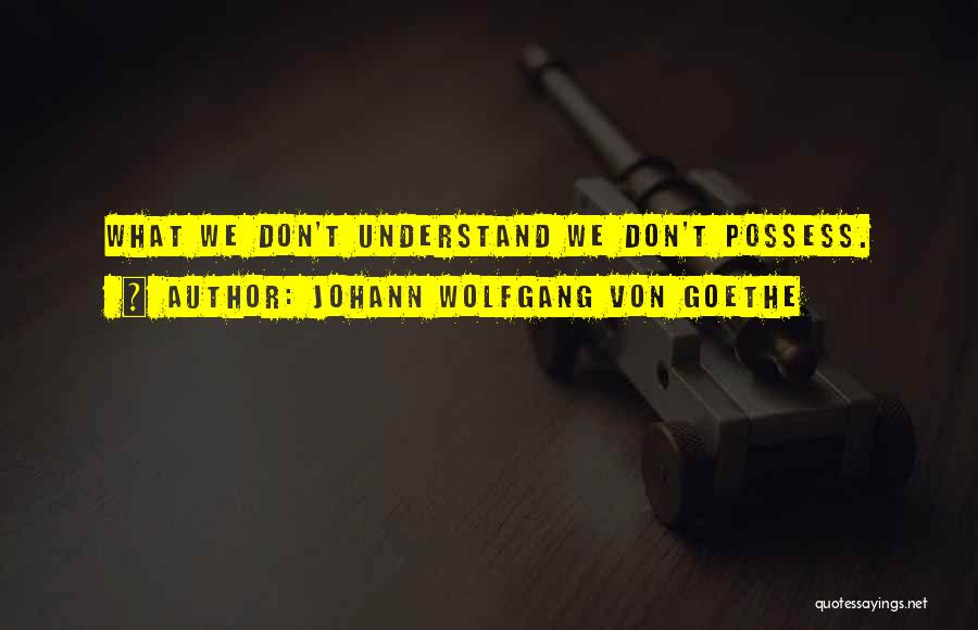 Johann Wolfgang Von Goethe Quotes 2221483