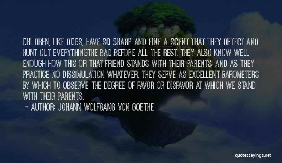 Johann Wolfgang Von Goethe Quotes 374068