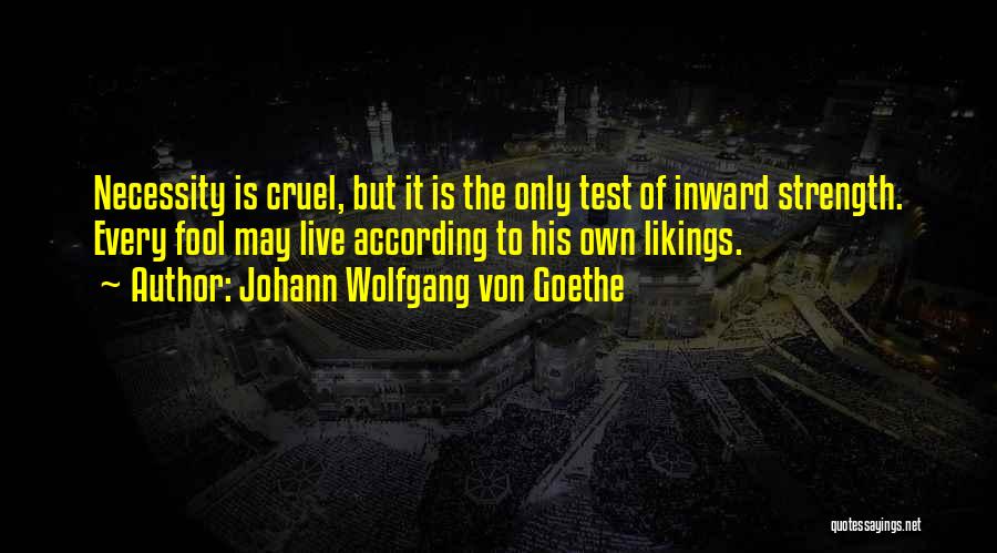 Johann Wolfgang Von Goethe Quotes 594965