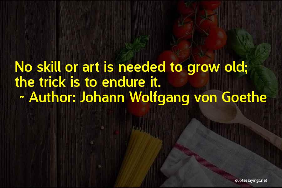 Johann Wolfgang Von Goethe Quotes 672367
