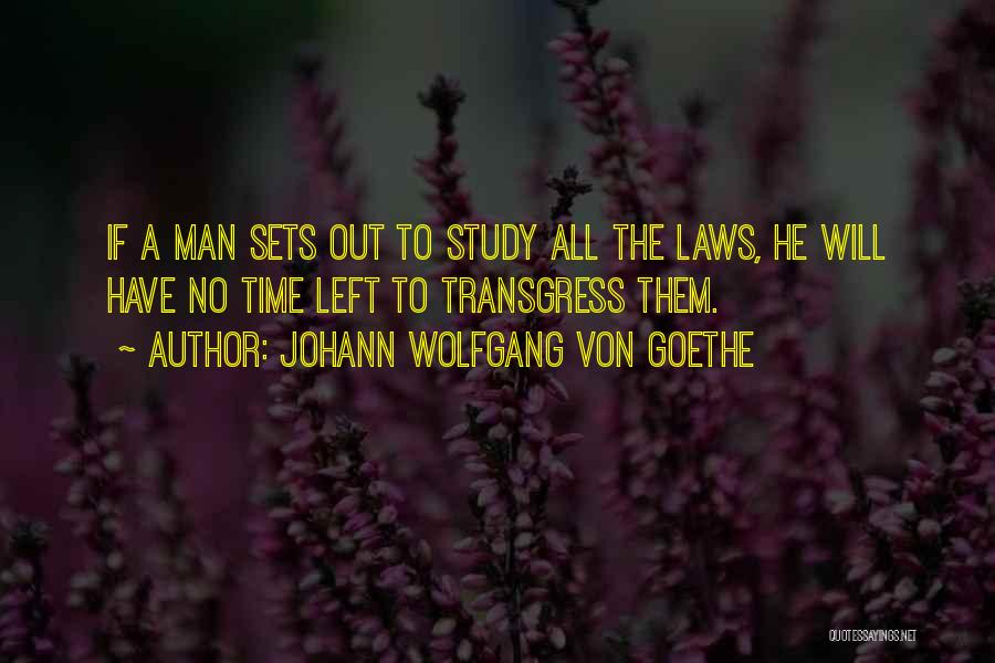 Johann Wolfgang Von Goethe Quotes 842965