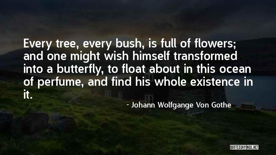 Johann Wolfgange Von Gothe Quotes 1202931