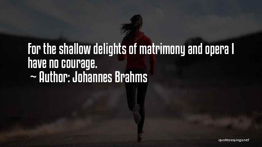 Johannes Brahms Quotes 1424063