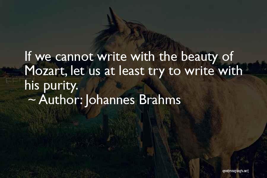 Johannes Brahms Quotes 979229