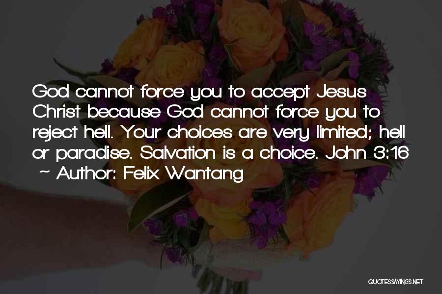 John 3 16 Quotes By Felix Wantang