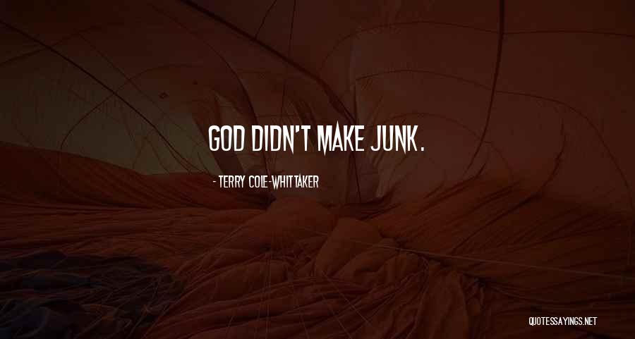 John 8 31 32 Quotes By Terry Cole-Whittaker