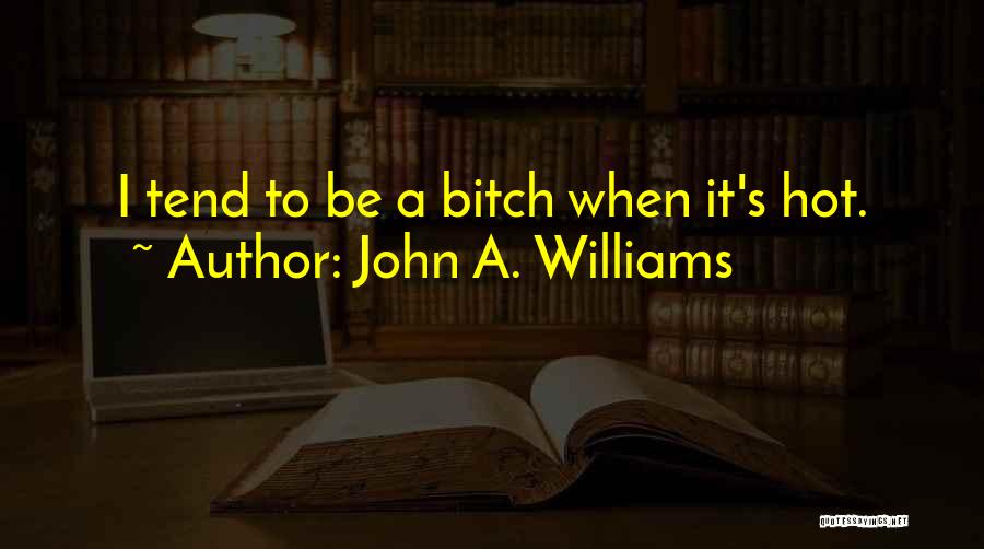 John A. Williams Quotes 813609