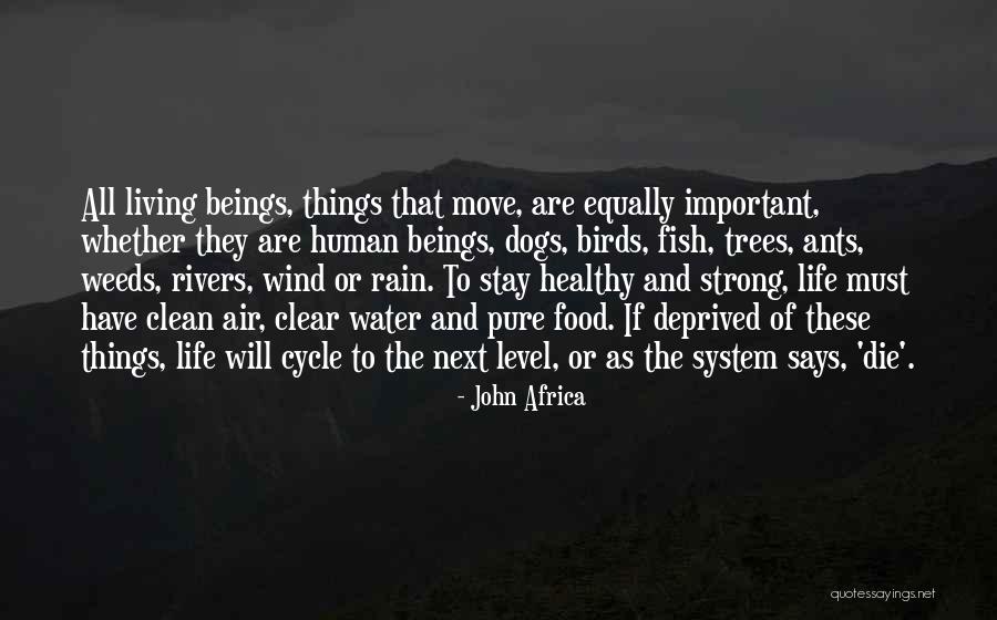 John Africa Quotes 1932895