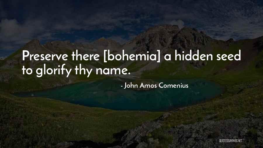 John Amos Comenius Quotes 1746807