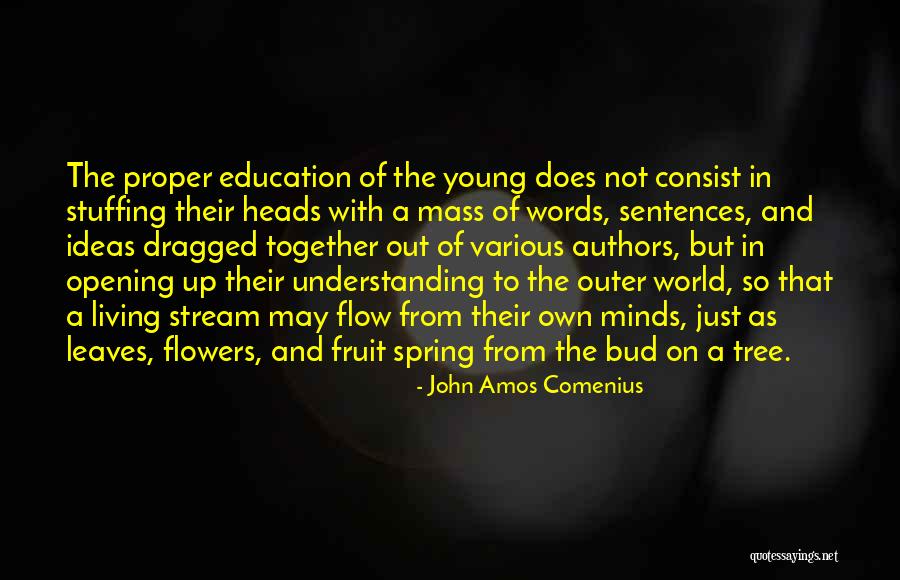 John Amos Comenius Quotes 1902004 John Amos Comenius Quotes 1902004