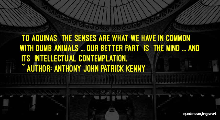 John Anthony Quotes By Anthony John Patrick Kenny