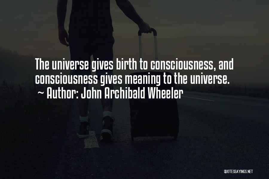 John Archibald Wheeler Quotes 342294