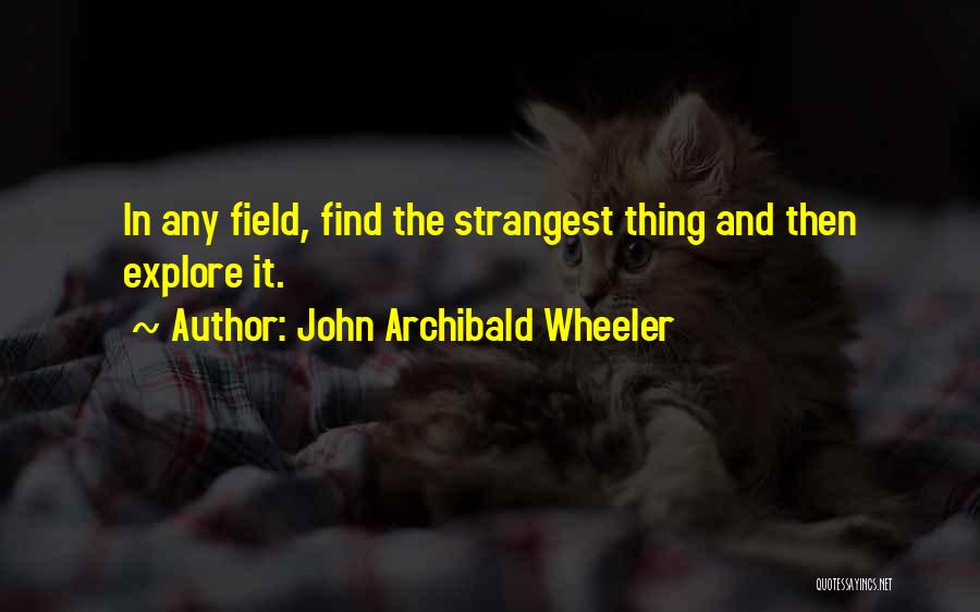 John Archibald Wheeler Quotes 359553