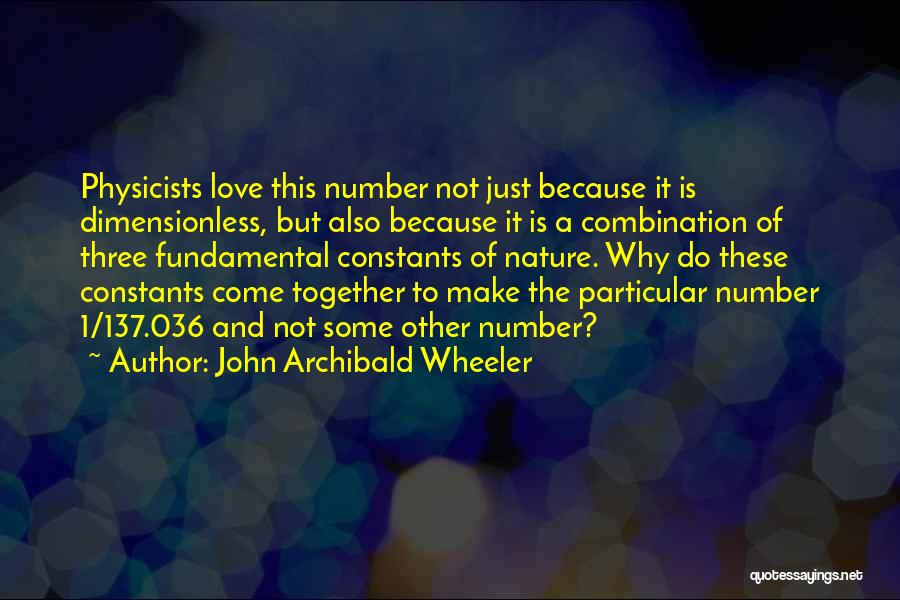 John Archibald Wheeler Quotes 374729