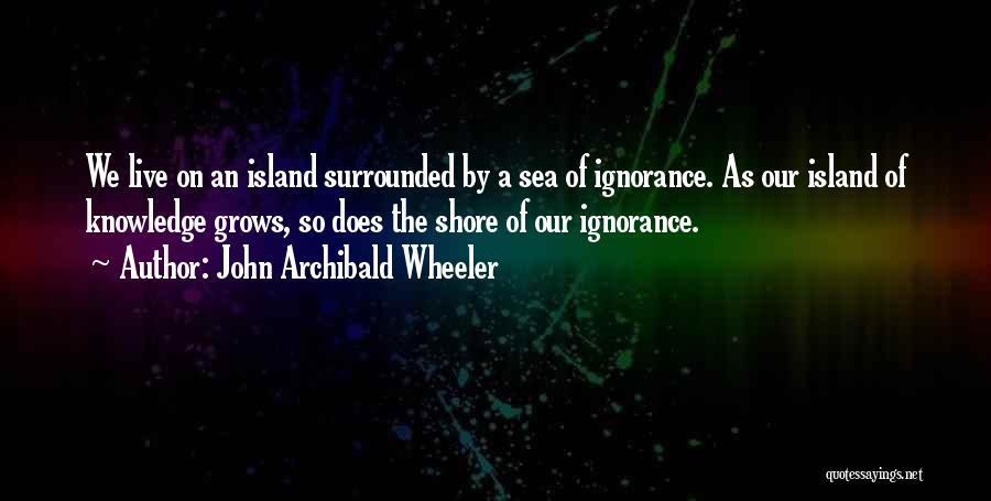 John Archibald Wheeler Quotes 990412
