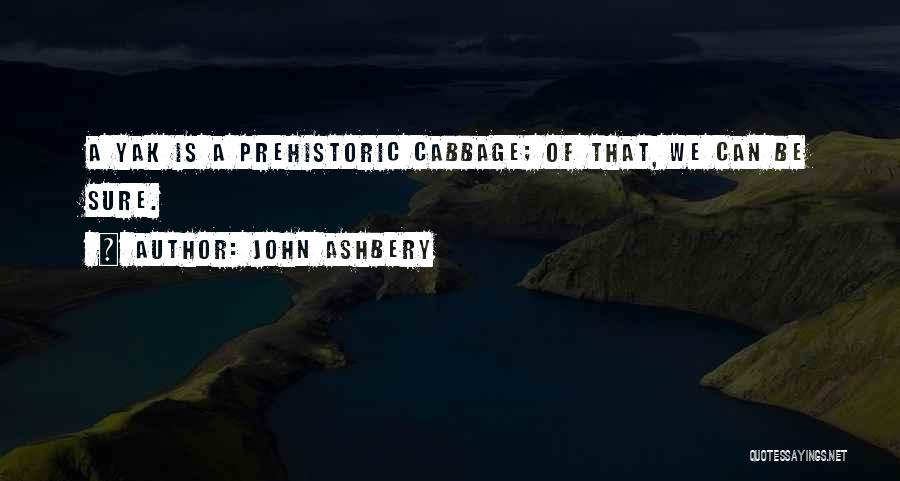 John Ashbery Quotes 1098579