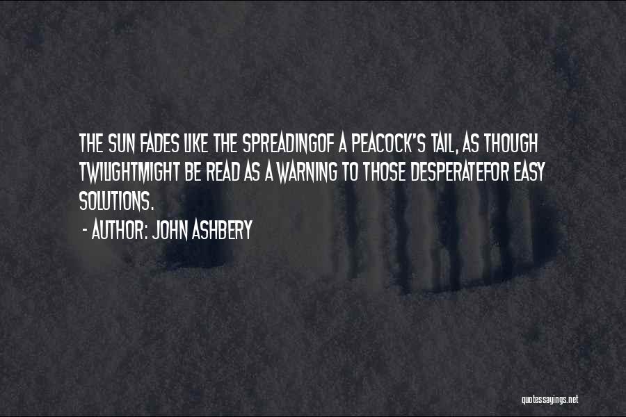 John Ashbery Quotes 114997
