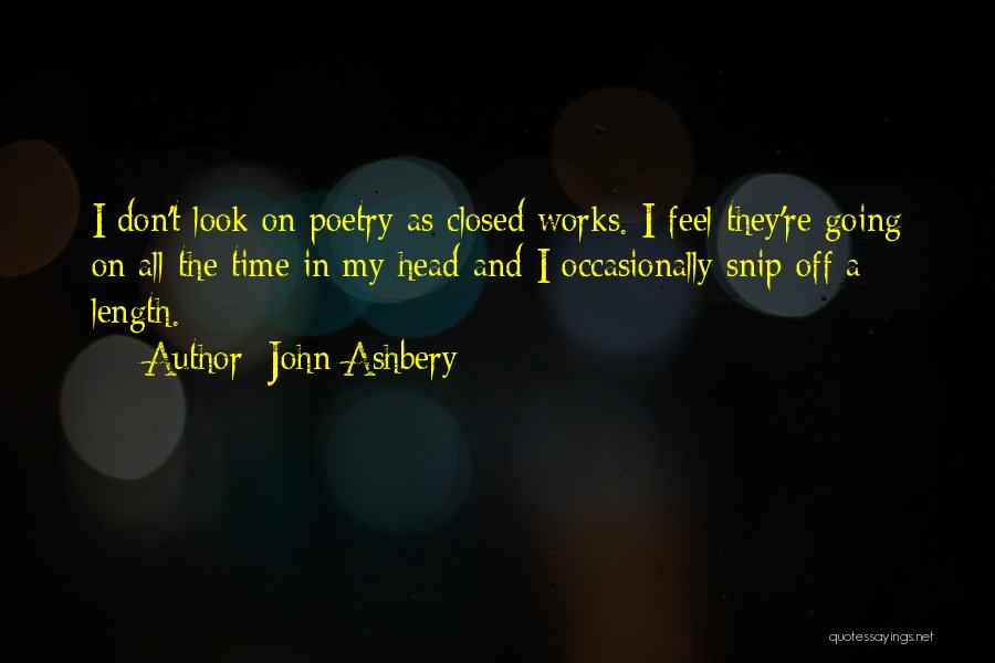 John Ashbery Quotes 1294946