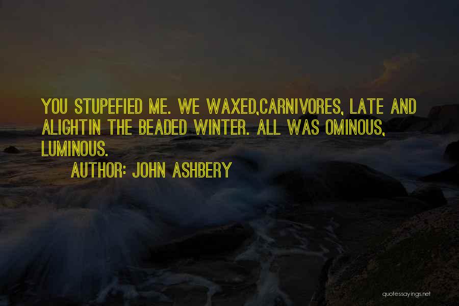 John Ashbery Quotes 1509752