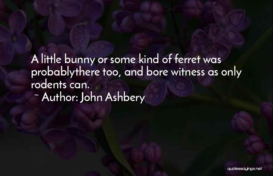 John Ashbery Quotes 1829215