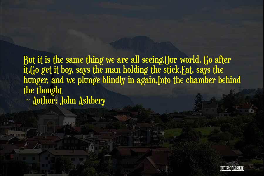 John Ashbery Quotes 1850518