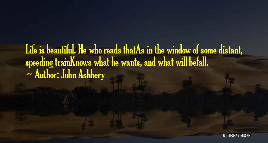 John Ashbery Quotes 427148