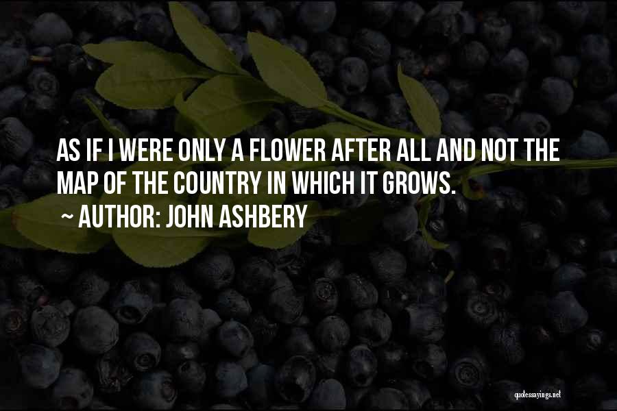 John Ashbery Quotes 457703