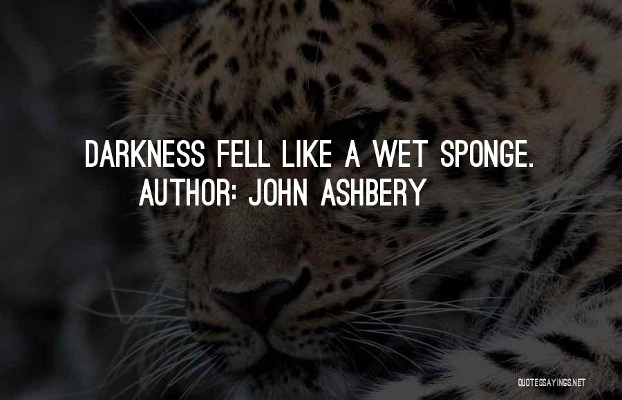 John Ashbery Quotes 604661