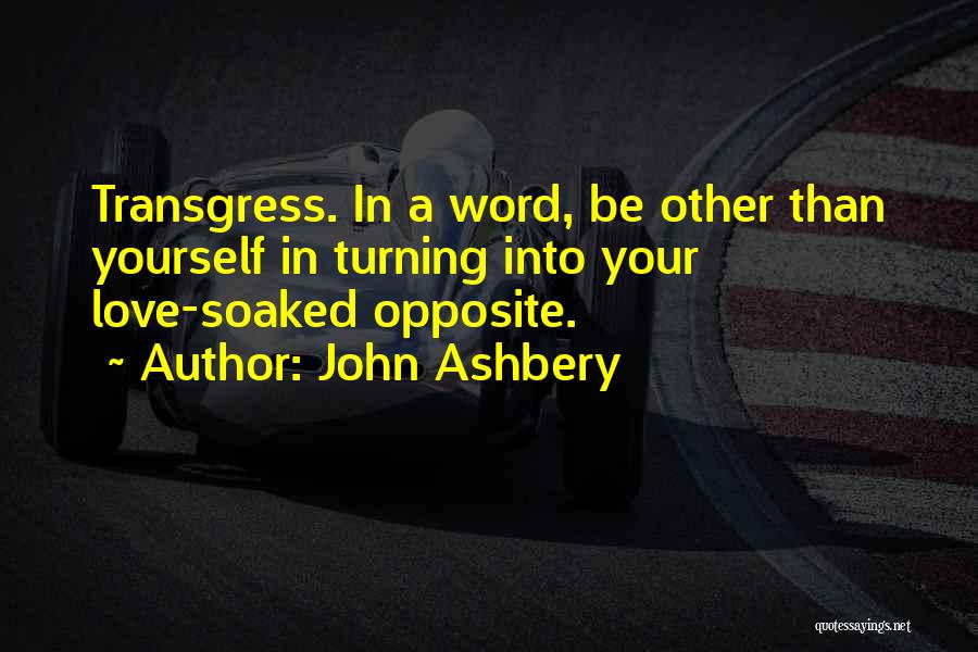 John Ashbery Quotes 953254