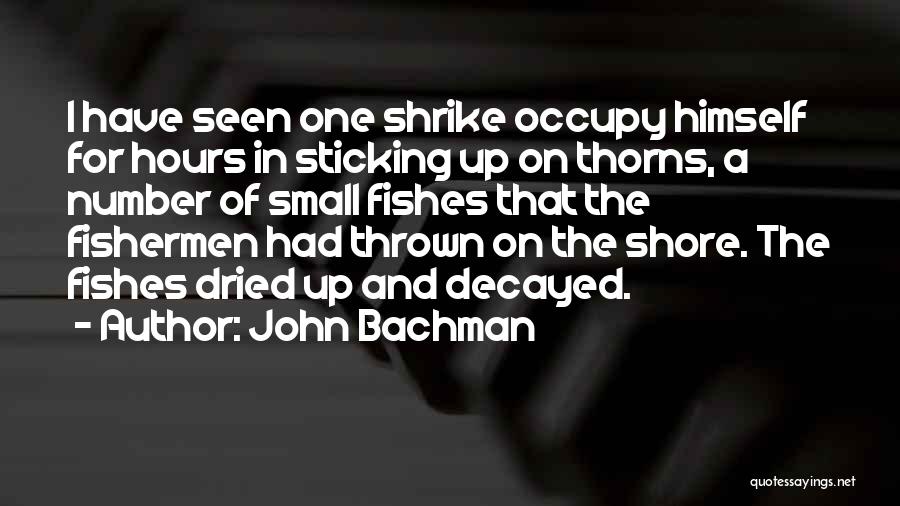 John Bachman Quotes 133549