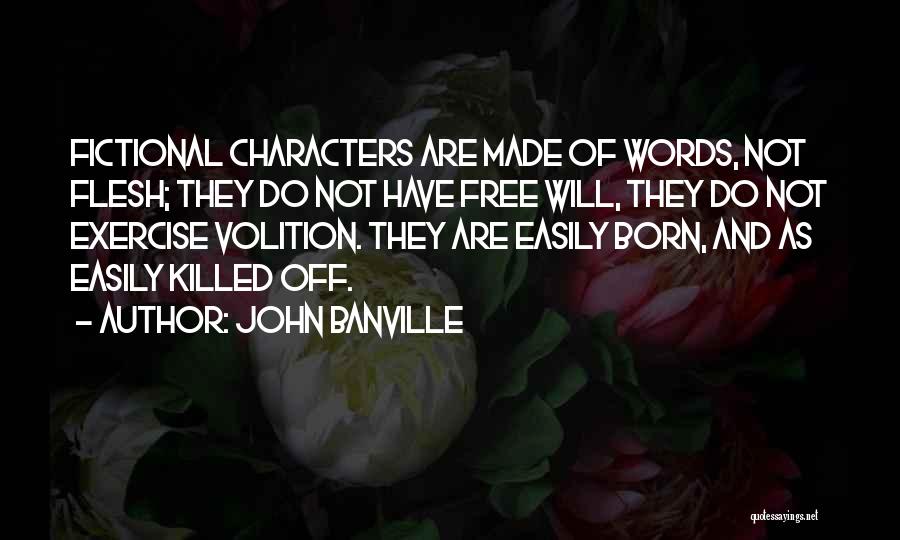 John Banville Quotes 1031501