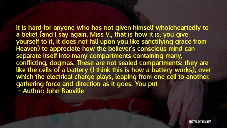 John Banville Quotes 1068732