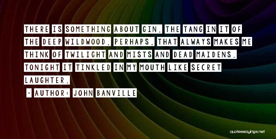 John Banville Quotes 362887