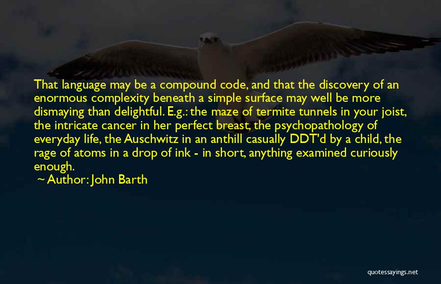 John Barth Quotes 1748657