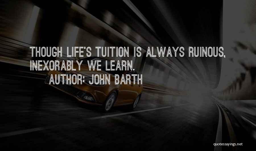 John Barth Quotes 74784