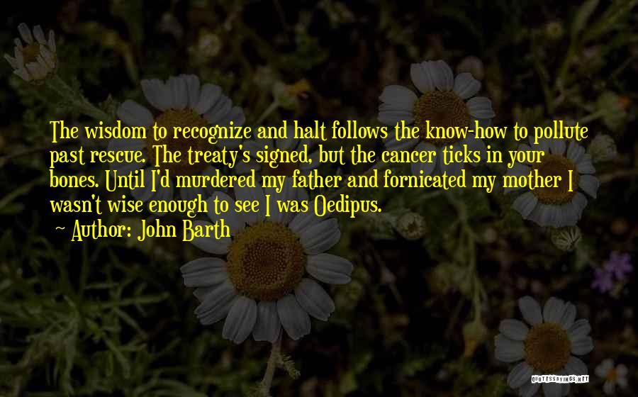 John Barth Quotes 917239