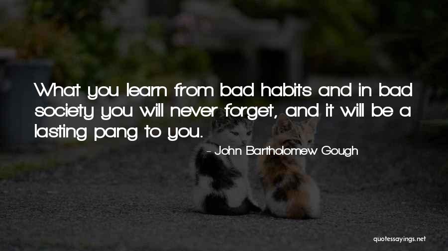 John Bartholomew Gough Quotes 1138447