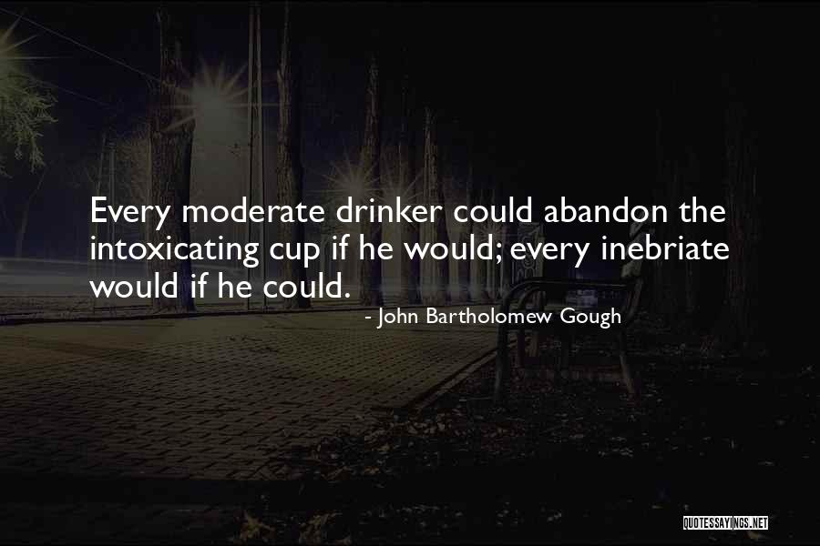 John Bartholomew Gough Quotes 560695