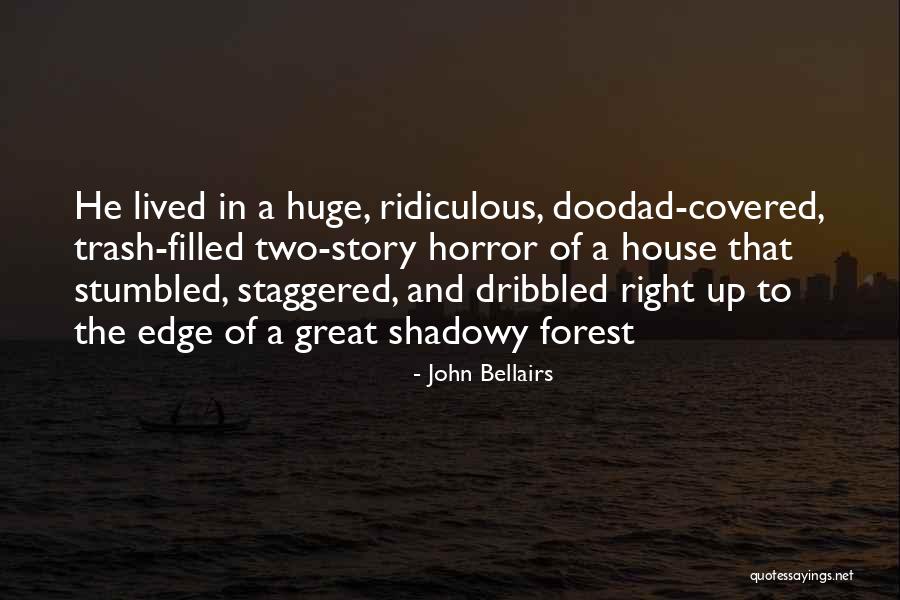 John Bellairs Quotes 1163368