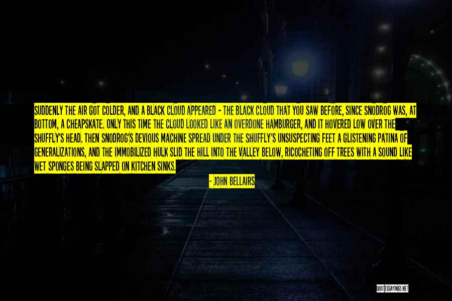 John Bellairs Quotes 1645681 John Bellairs Quotes 1645681