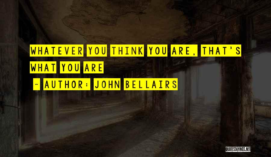 John Bellairs Quotes 2018131