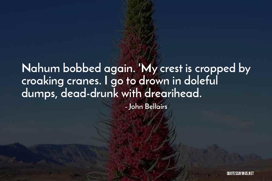 John Bellairs Quotes 233870 John Bellairs Quotes 233870