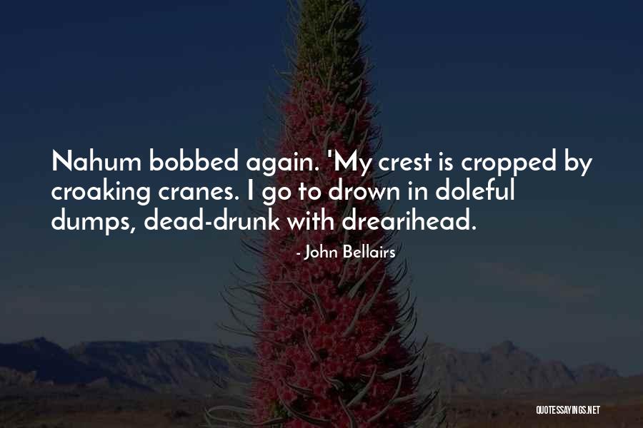 John Bellairs Quotes 233870