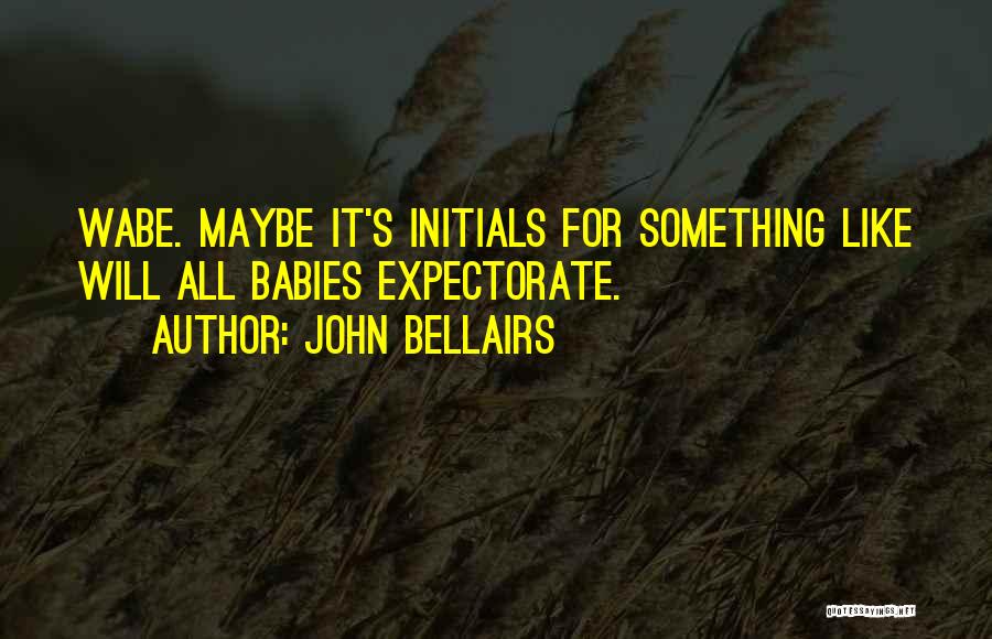 John Bellairs Quotes 316953