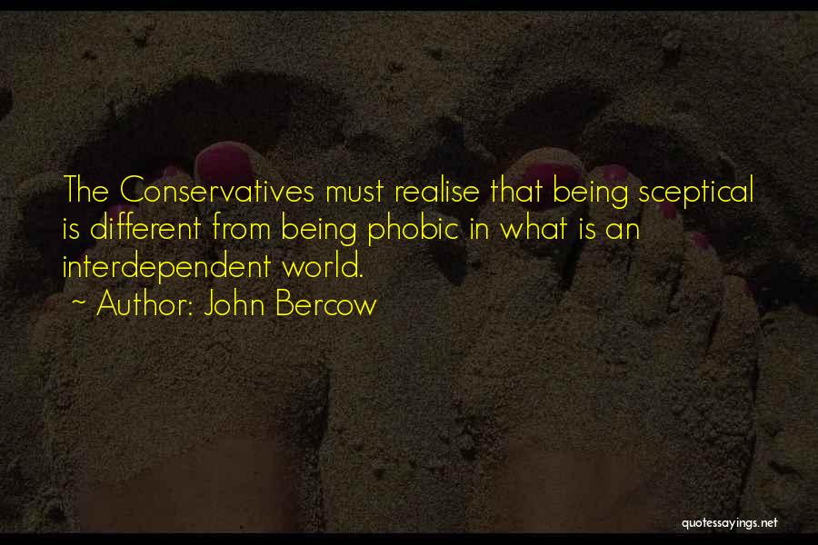 John Bercow Quotes 1840458