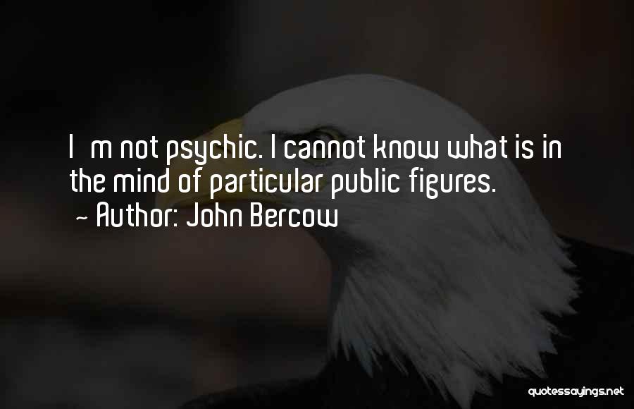 John Bercow Quotes 758627