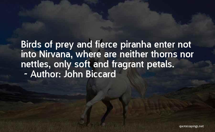 John Biccard Quotes 1970374