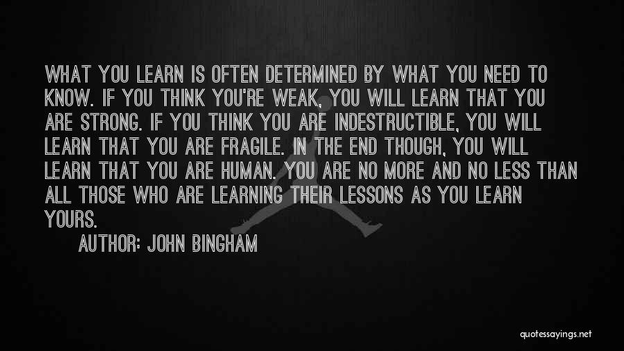 John Bingham Quotes 1677591
